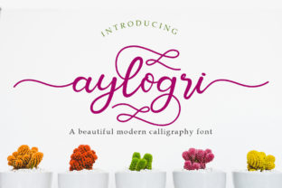Aylogri: A Script Handwritten Typeface for Romantic Branding