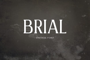 Brial Serif Font for Elegant Digital Branding