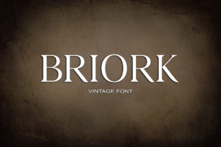 Briork Serif Font Review for Campaign Design