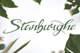 Stanburghe: A Friendly Script Font for Modern Branding